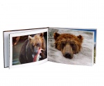 Книга - фотоальбом "Медведи Камчатки"